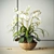 Elegant Orchid Composition 3D model small image 1