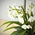 Elegant Orchid Composition 3D model small image 2