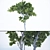 3D Tree Models Vol.1 3D model small image 1