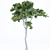 3D Tree Models Vol.1 3D model small image 2