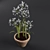 Ornamental Agapanthus in Pot 3D model small image 2