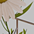 Flasked Daisies: Petite Botanical Delight 3D model small image 2