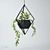 Green Leafy Zed Decoration Plant 3D model small image 1