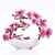 3DSky and 3DDD Dedicated: ORCHID 3 - Unleash Your Creativity 3D model small image 1