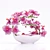 3DSky and 3DDD Dedicated: ORCHID 3 - Unleash Your Creativity 3D model small image 2