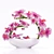 3DSky and 3DDD Dedicated: ORCHID 3 - Unleash Your Creativity 3D model small image 3