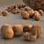 Premium Walnut Bundle 3D model small image 1