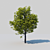 Majestic Oak of Serenity 3D model small image 1