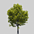 Majestic Oak of Serenity 3D model small image 2