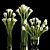 Elegant Calla Lilies 3D model small image 1