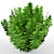 Elegant Fern for Indoor Décor 3D model small image 1