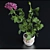 Blooming Beauty: Miniature Rose 3D model small image 1