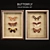 Enchanting Butterfly Wall Set 3D model small image 1