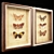 Enchanting Butterfly Wall Set 3D model small image 2