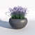 Serenity in a Bottle: Lavender Essential Oil 3D model small image 1