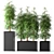 20 Beautiful Bamboo Plants 3D model small image 1