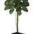 Green Life Rubber Plant - Size 22 3D model small image 2