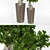 Elegant Ficus Bansai Duo 3D model small image 2