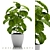 24 Coffee Plants: The Ultimate Brew 3D model small image 1