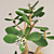 Blooming Money Tree - 36cm Height 3D model small image 2