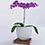 Exotic Orchid Plant 3D model small image 1