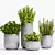 Exquisite Decorative Plant Set 3D model small image 1