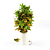 Vibrant Tropical Croton Plant 3D model small image 2