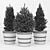 Premium Fir Tree 3D model small image 2