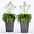 Stylish Plant Trio: Max 2015, 2012 & FBX 3D model small image 1