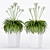 Stylish Plant Trio: Max 2015, 2012 & FBX 3D model small image 2