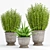 2021 Plant -18: Decorative Set 3D model small image 1