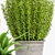 2021 Plant -18: Decorative Set 3D model small image 2