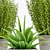 2021 Plant -18: Decorative Set 3D model small image 3