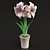  Elegant Hippeastrum Flower: 47.5 cm Tall 3D model small image 1