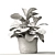 Tropical Beauty: Ficus Lyrata 3D model small image 3