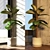 Rubber Fig Tree in Concrete Pot 3D model small image 2