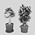 Plantastic Pottery: Botanical Bliss 3D model small image 2