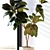 Large Ficus Elastica Decora in Concrete Pot 3D model small image 2