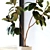Large Ficus Elastica Decora in Concrete Pot 3D model small image 3