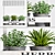 Sustainable Herb Plants 3D model small image 1