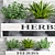 Sustainable Herb Plants 3D model small image 3