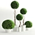 Green Oasis: Botanical Collection 3D model small image 1