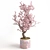 Pink Bliss: ZRelief & GrowFX Pink Cherry Tree 3D model small image 1