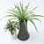  Greenery Duo: Two Plants in Stylish Vases 3D model small image 2
