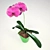 Pink Phalaenopsis Orchid: Stunning Blooms 3D model small image 2