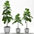 Lush Fig Plants: Max2015 to Max2012 & FBX 3D model small image 1