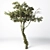 21-inch High Poly Tree Model 3D model small image 2