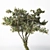 21-inch High Poly Tree Model 3D model small image 3