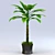 Tropical Palm Tree 1.8-2m 3D model small image 1