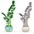 Zamioculcas: The Perfect Home Plant 3D model small image 3